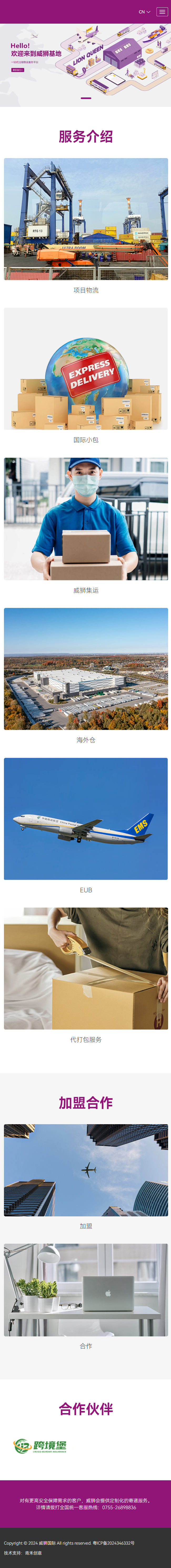 威狮国际物流